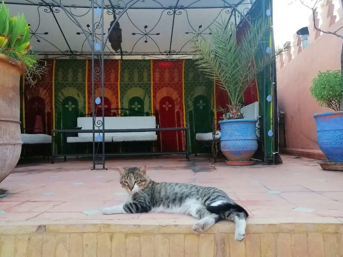 Bed & Breakfast Riad Araba Felice Marrakesh